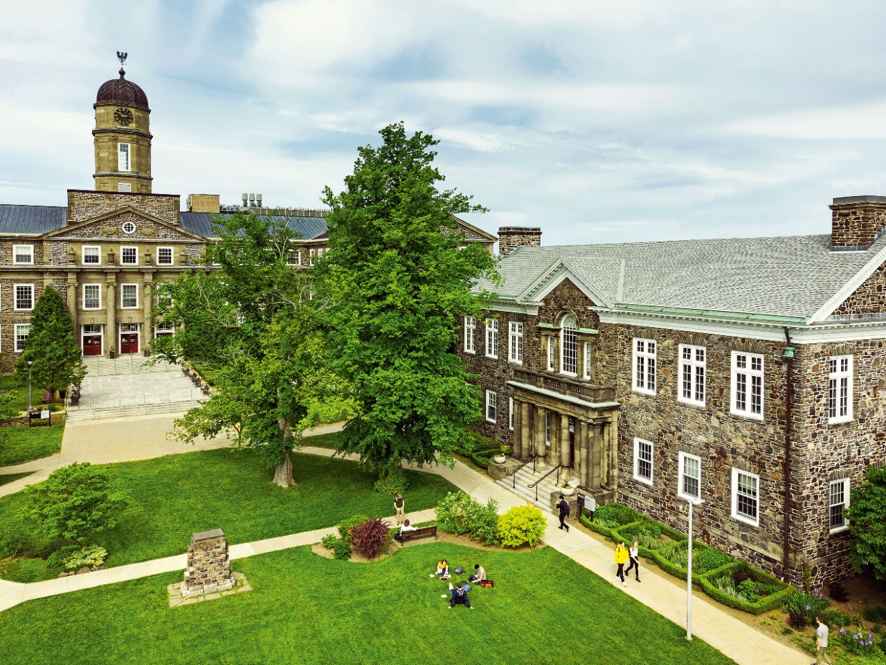Dalhousie University